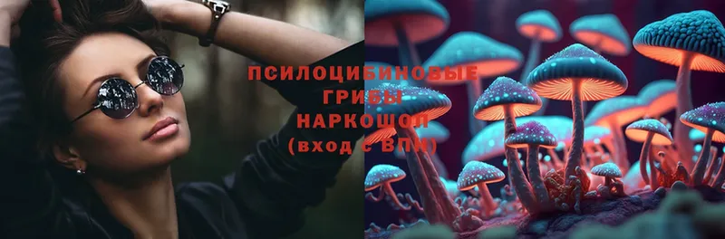 как найти   Балтийск  Псилоцибиновые грибы Magic Shrooms 